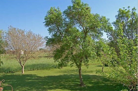 PRICE REDUCED – This property runs overs 1.5 hectares and offers a 19th Cen