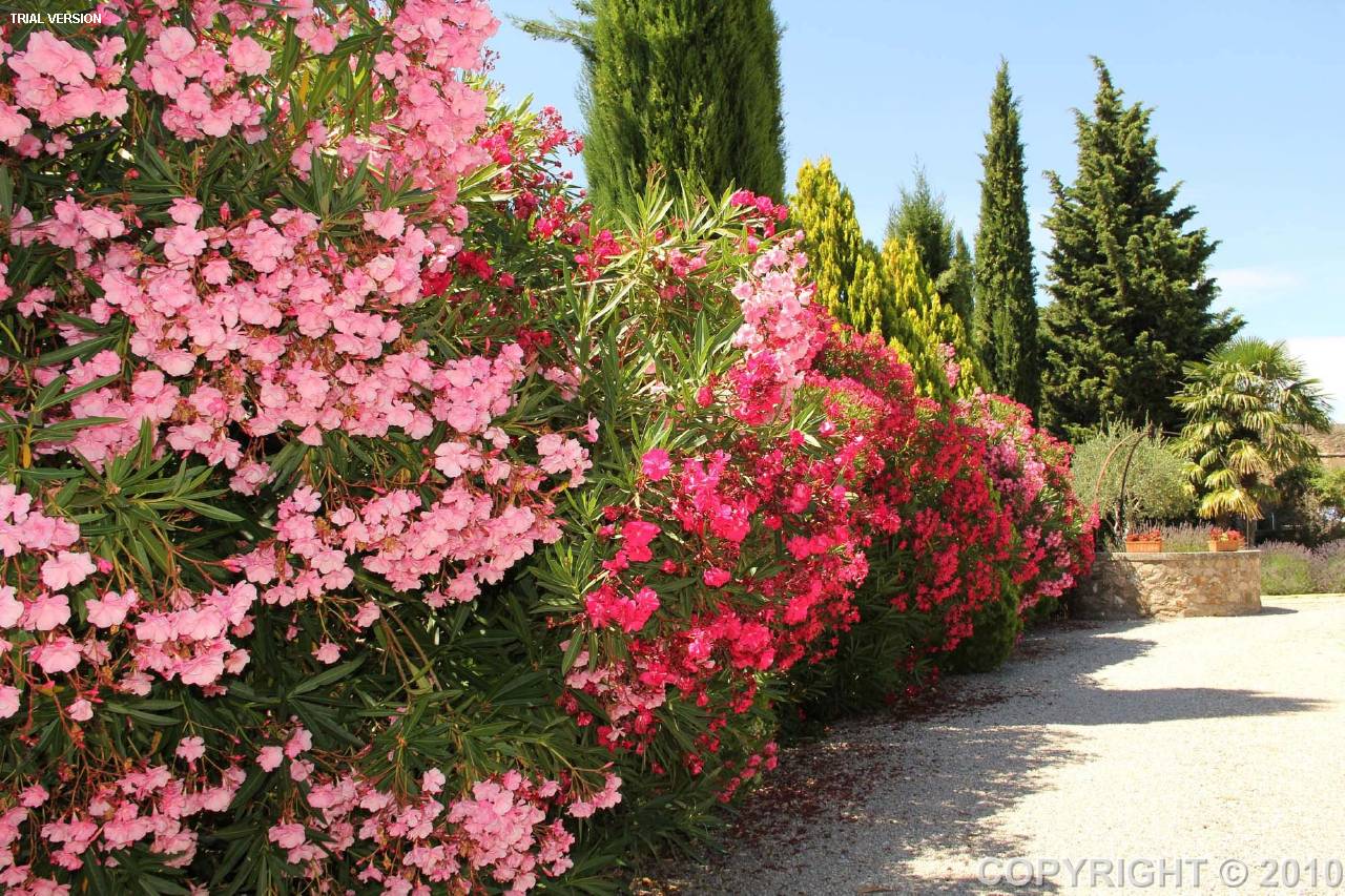 In the village of Aups is this exceptional and historical 18th century prop