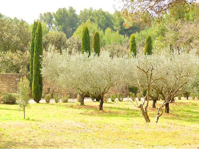 Near the Alpilles and Salon de Provence, 350m2 property in a rural location