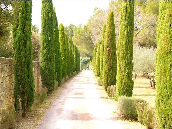 Near the Alpilles and Salon de Provence, 350m2 property in a rural location