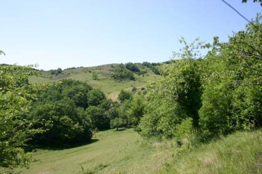 In the Mirepoix area, an attractive Mas dating back to the eighteenth centu