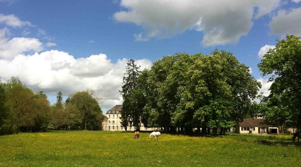 18th Century chateau located in Burgundy, at the edge of a village in a cha
