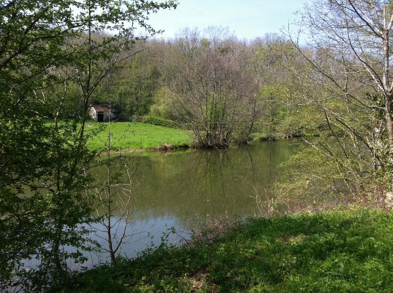 18th Century chateau located in Burgundy, at the edge of a village in a cha