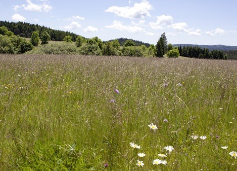 Attractive and beautifully situated 29 bedroom hotel in the pretty village