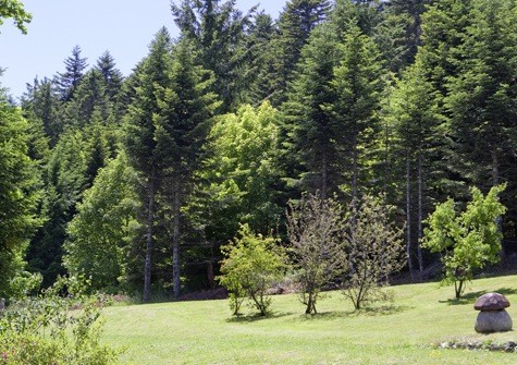 Attractive and beautifully situated 29 bedroom hotel in the pretty village