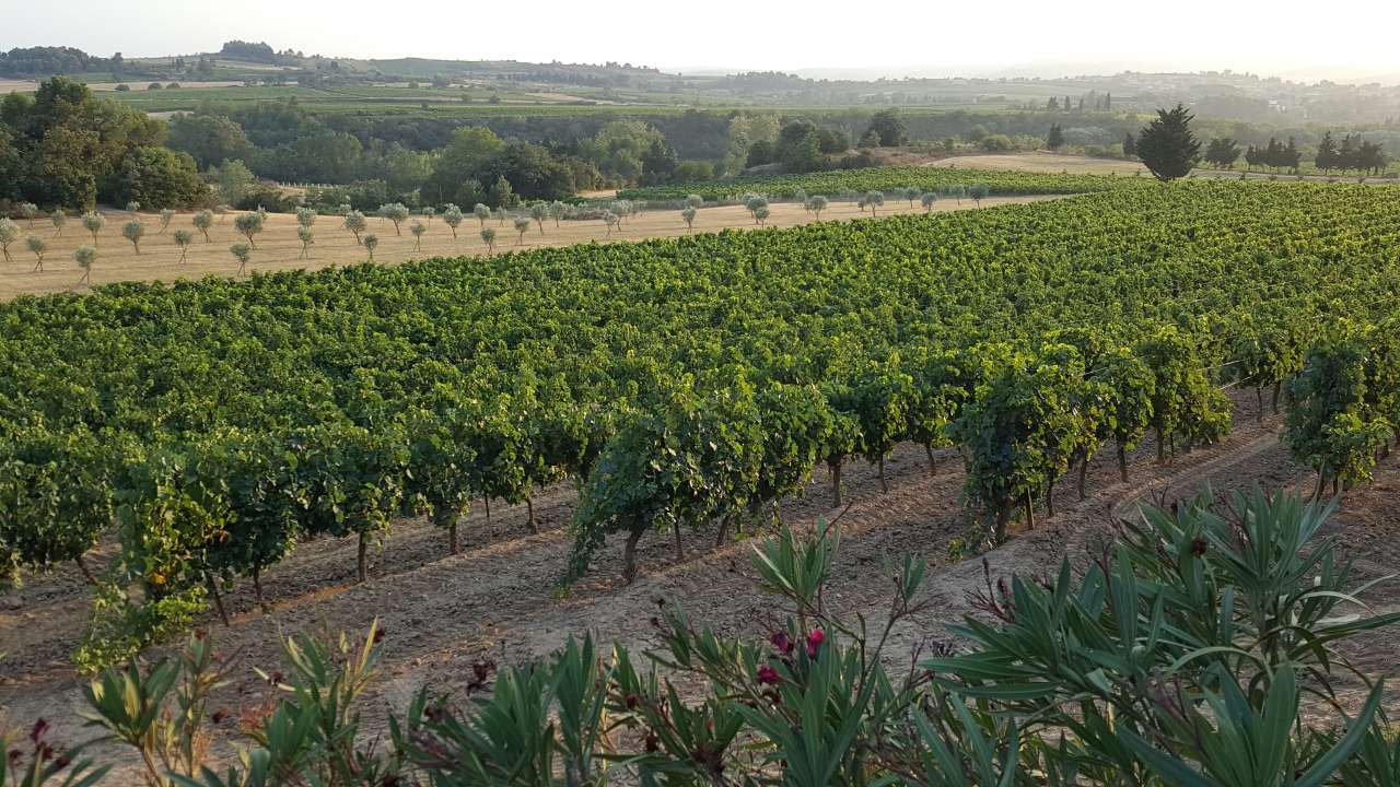 Luxurious and spacious 18th Century manor house set within a beautiful matu