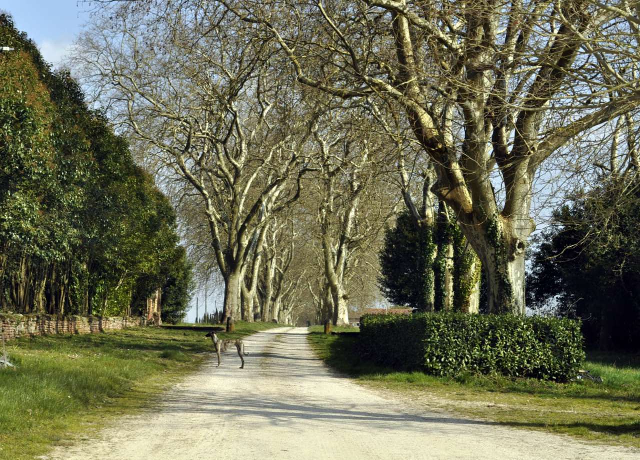 This superb estate, complete with stunning chateau and outbuildings, is loc