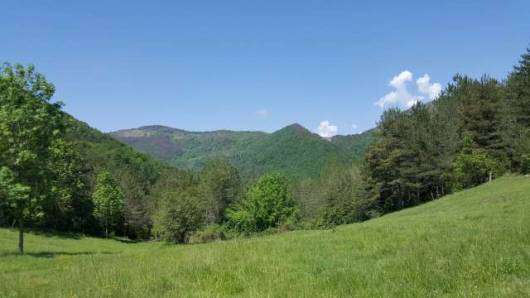 Newly renovated Catalan stone farmhouse with 6 bedrooms and 6 bathrooms in