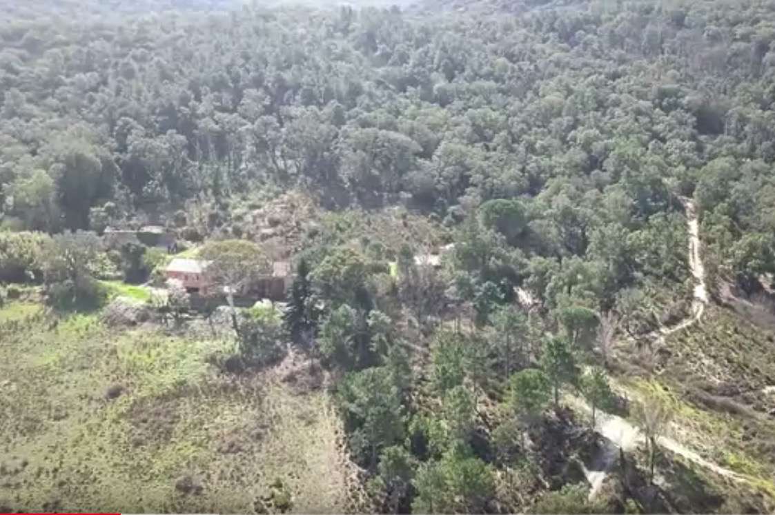 Exciting opportunity to purchase a property of 95 hectares, just 16 kilomet