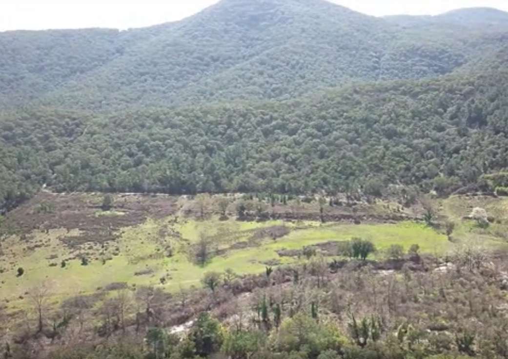 Exciting opportunity to purchase a property of 95 hectares, just 16 kilomet