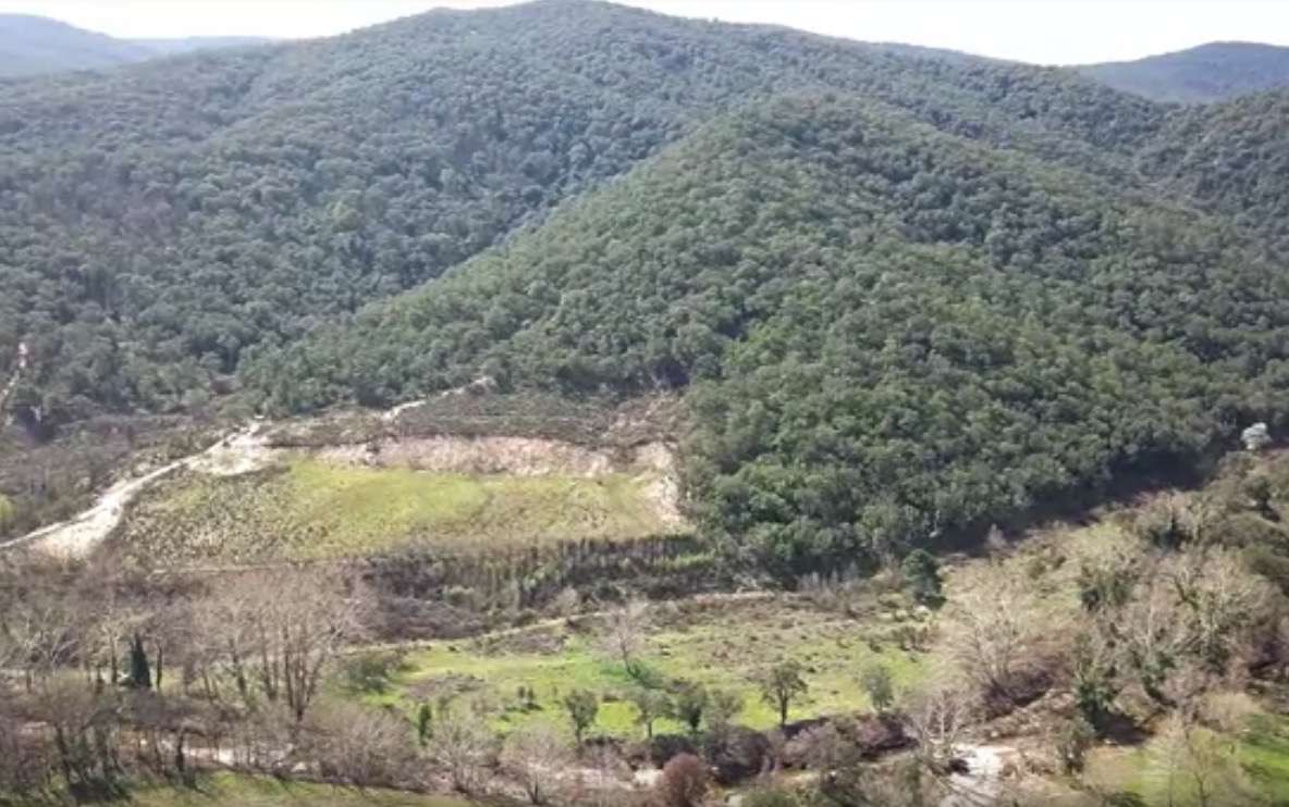 Exciting opportunity to purchase a property of 95 hectares, just 16 kilomet