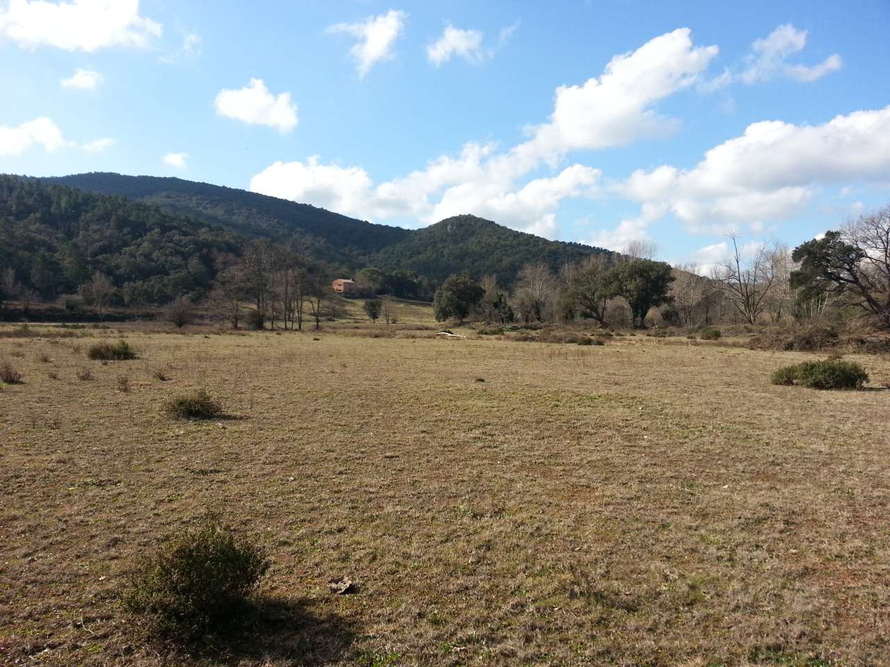 Exciting opportunity to purchase a property of 95 hectares, just 16 kilomet
