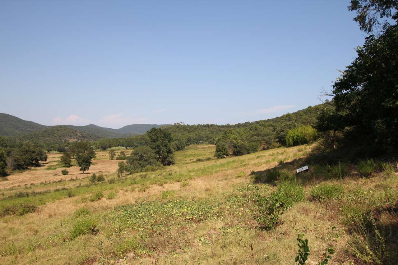 Exciting opportunity to purchase a property of 95 hectares, just 16 kilomet