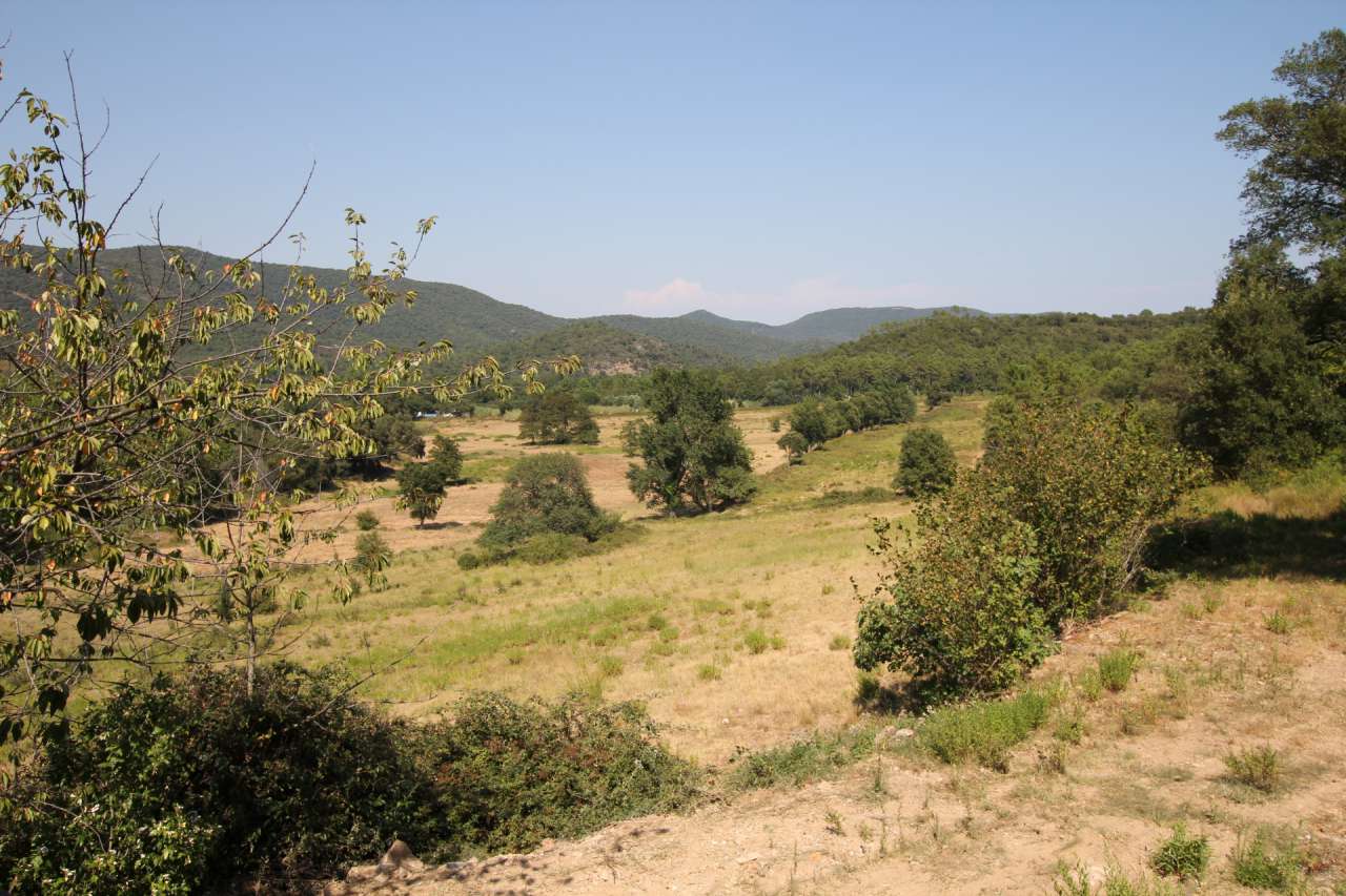 Exciting opportunity to purchase a property of 95 hectares, just 16 kilomet