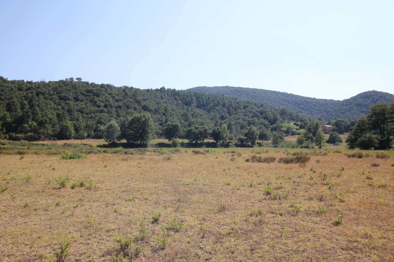 Exciting opportunity to purchase a property of 95 hectares, just 16 kilomet
