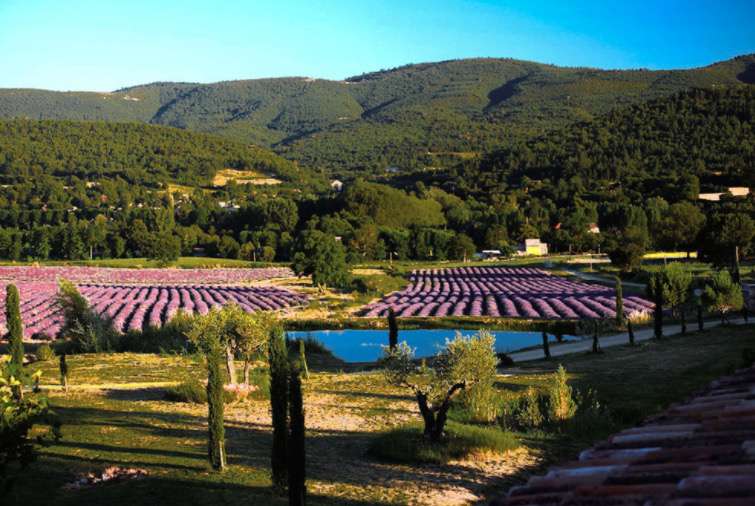 Superb and luxurious character property, set in the heart of 10 hectares of