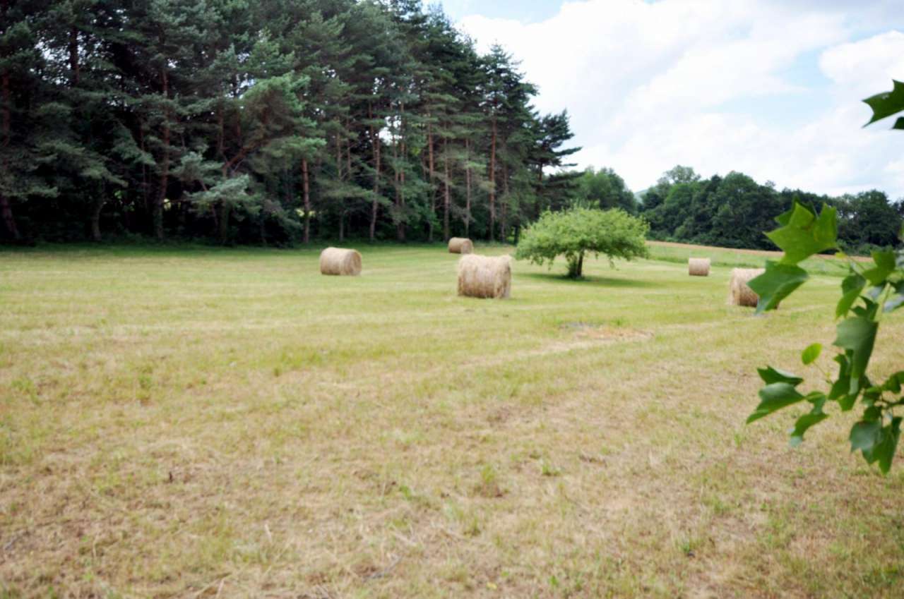 Charming and spacious 4 bedroom house set in over 3 acres of land in the th