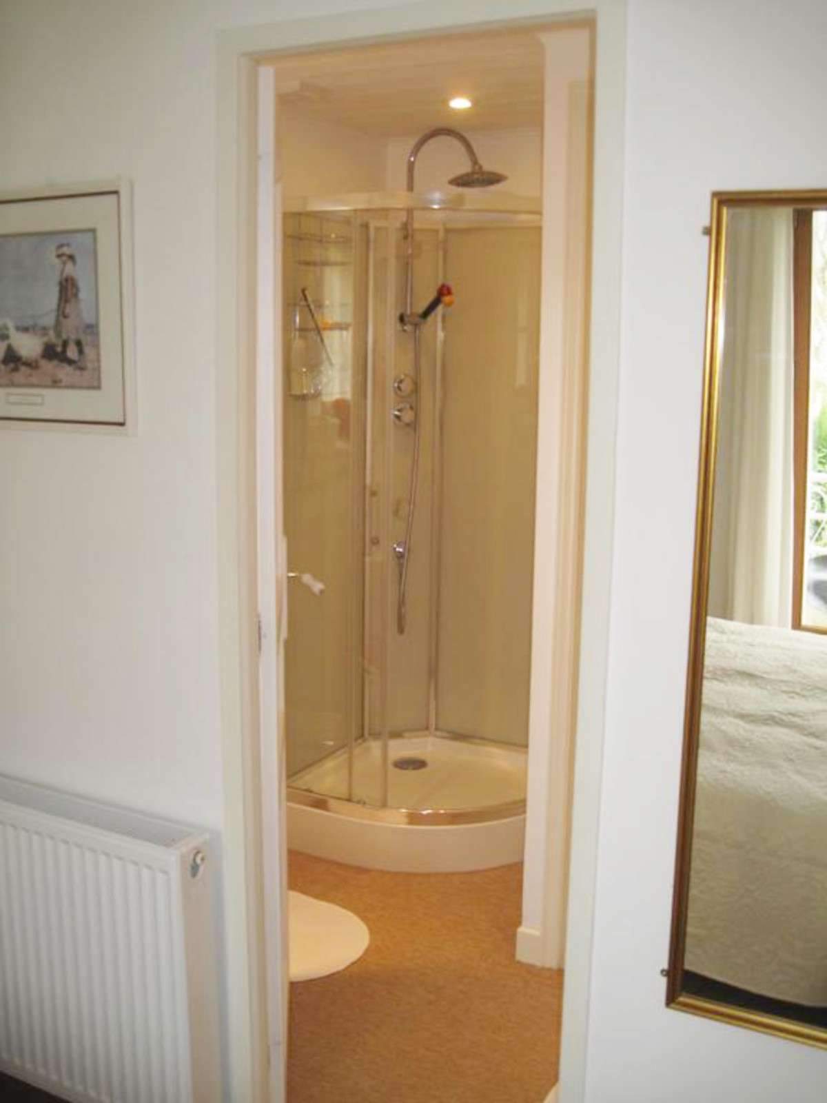 Grand and spacious house which is full of character and charm, with a total