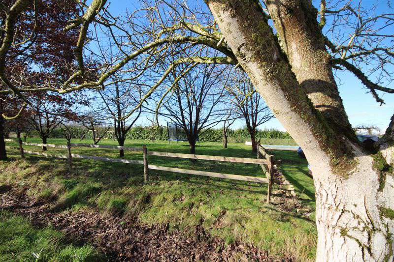 Excellent Bed and Breakfast property with income opportunities, including 3