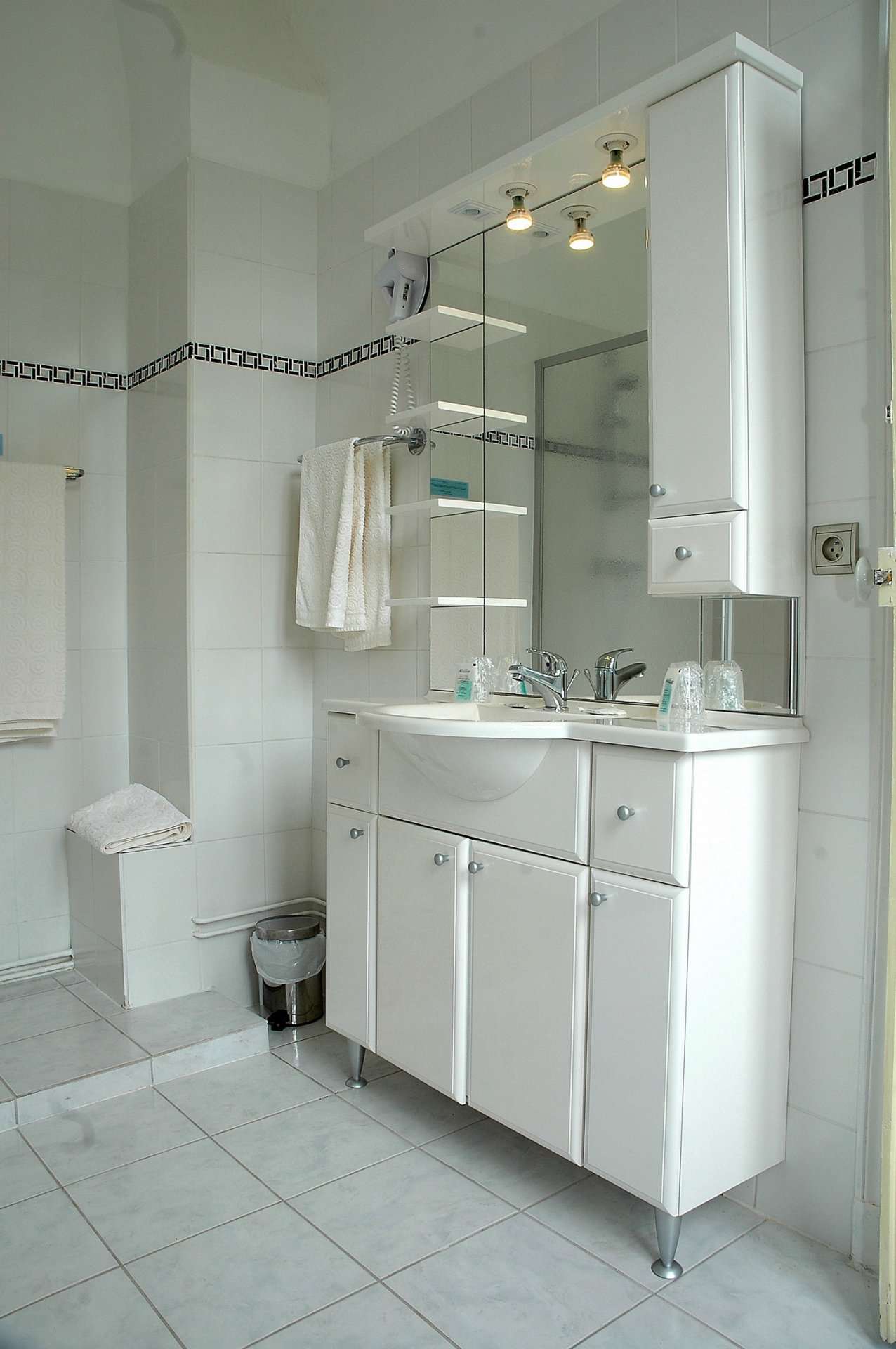 Fabulous Nineteenth Century Chateau near to Auch offering an excellent busi