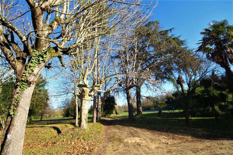 Spacious traditional farmhouse close to Marmand in a lovely rural setting,