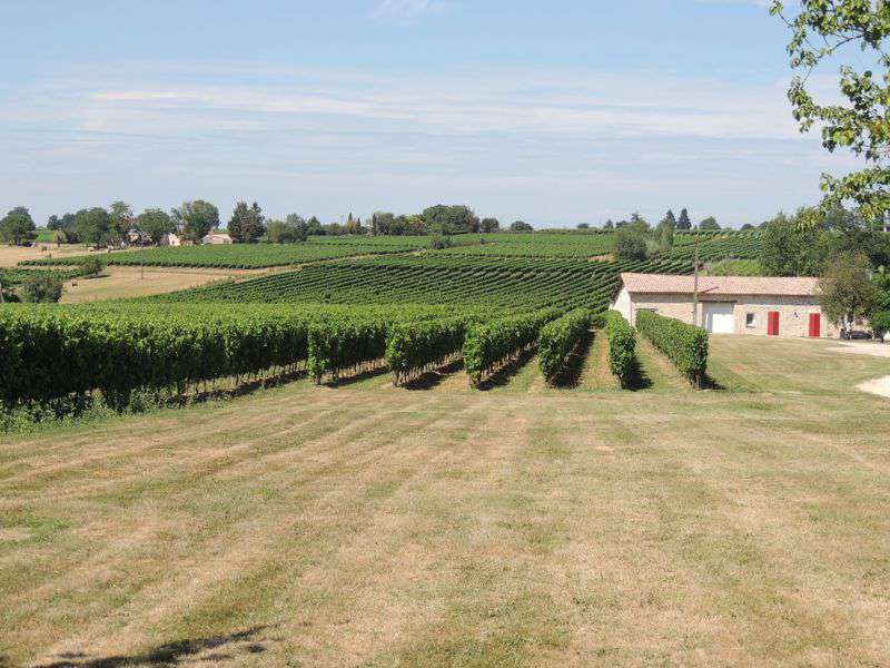 Excellent opportunity to purchase a fully operational and well structured B