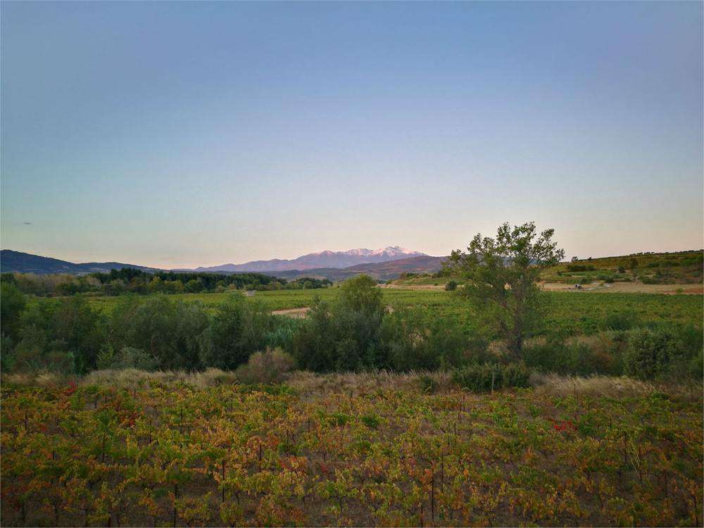 Superb wine estate with 40 hectares of productive vines and 2,000m2 of resi