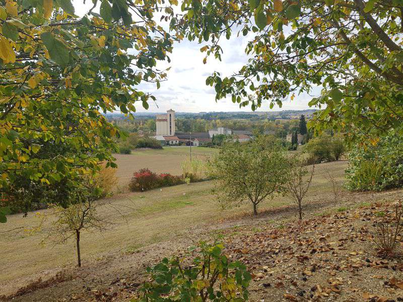 Excellent opportunity to purchase 2 properties, which contain a total of 7