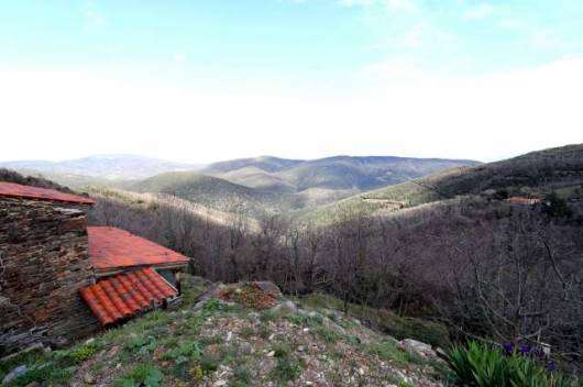 Full of character and charm and beautifully refurbished whilst managing to