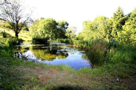 Unique opportunity to acquire a 7 bedroom 17th Century stone Catalan Mas wi