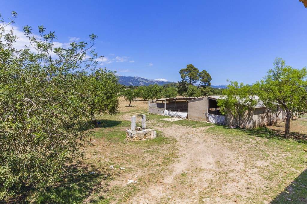 Potential With Annex Character Historical , 5 bedroom House