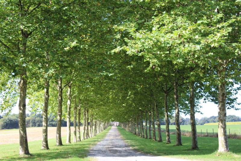 Exceptional 8 bedroom 19th Century French Chateau with 7 converted outbuild