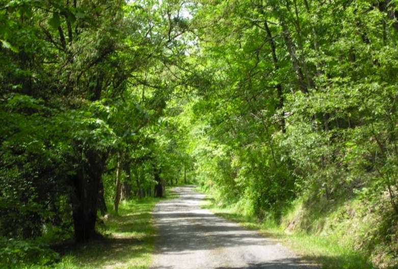 Surrounded by 150 hectares of land with magnificent lake of 2.5 hectares, i