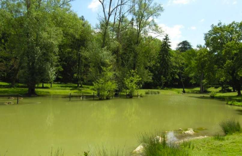 Surrounded by 150 hectares of land with magnificent lake of 2.5 hectares, i