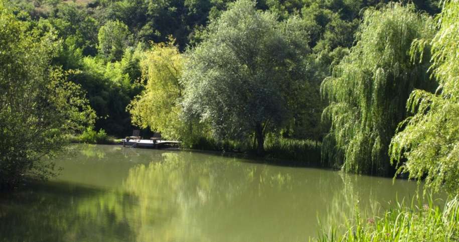 Beautiful 16th century French Chateau with Gites and private lake, nestling