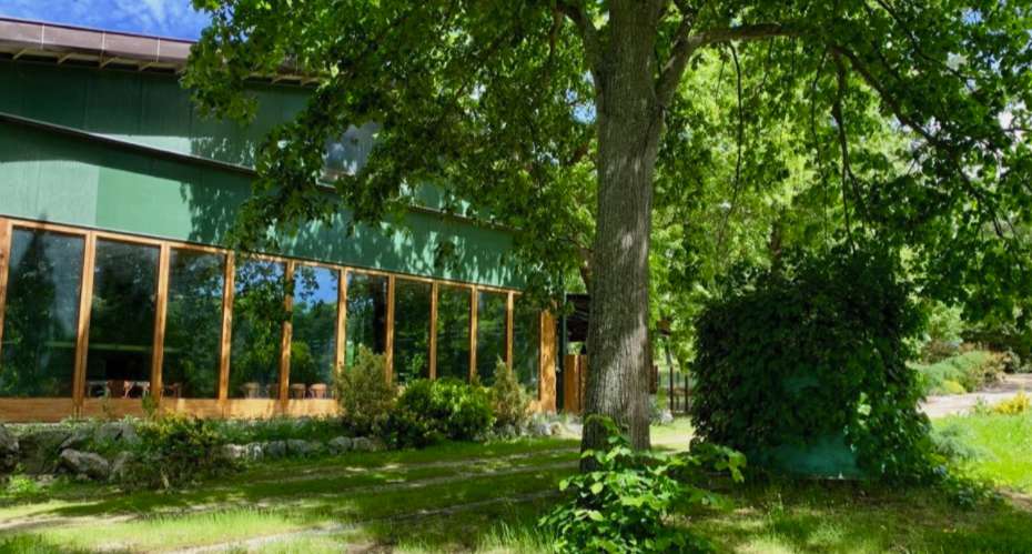 Outstanding and beautifully renovated 10 bedroom historical Chateau with po