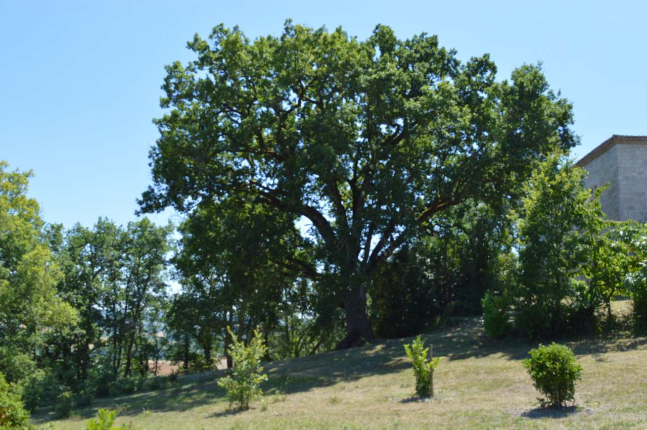 Full of charm and character is this 3 bedroom Twelfth Century Chateau, nest