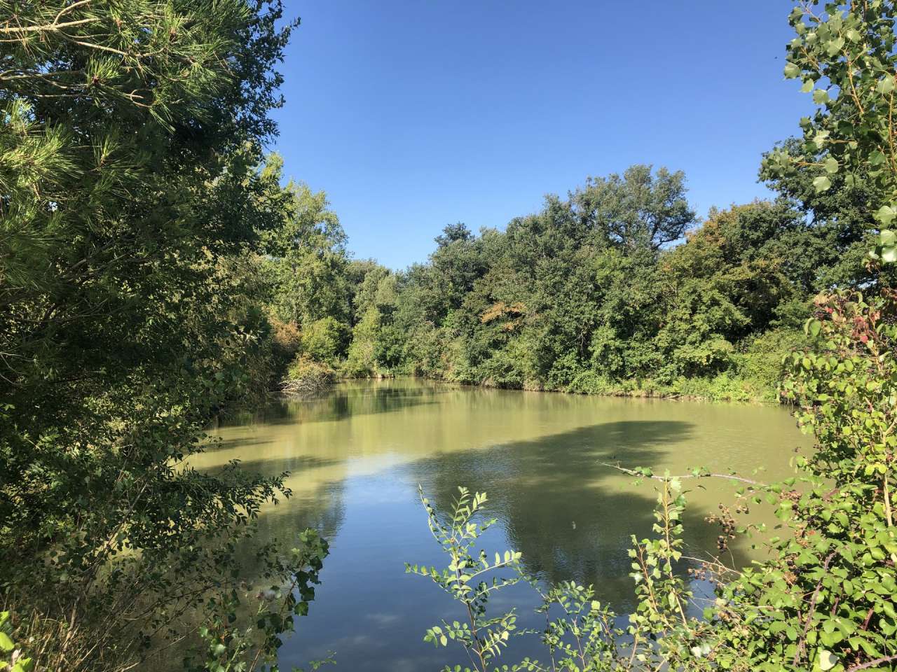 Exceptional 13th century 4 bedroom French Chateau with separate 3 bedroom c