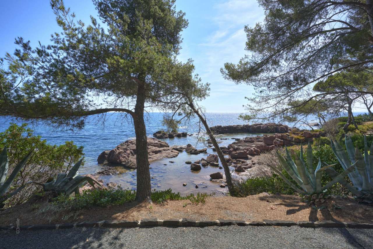 Superb and unique 9 bedroom south facing waterfront property, with a vast t