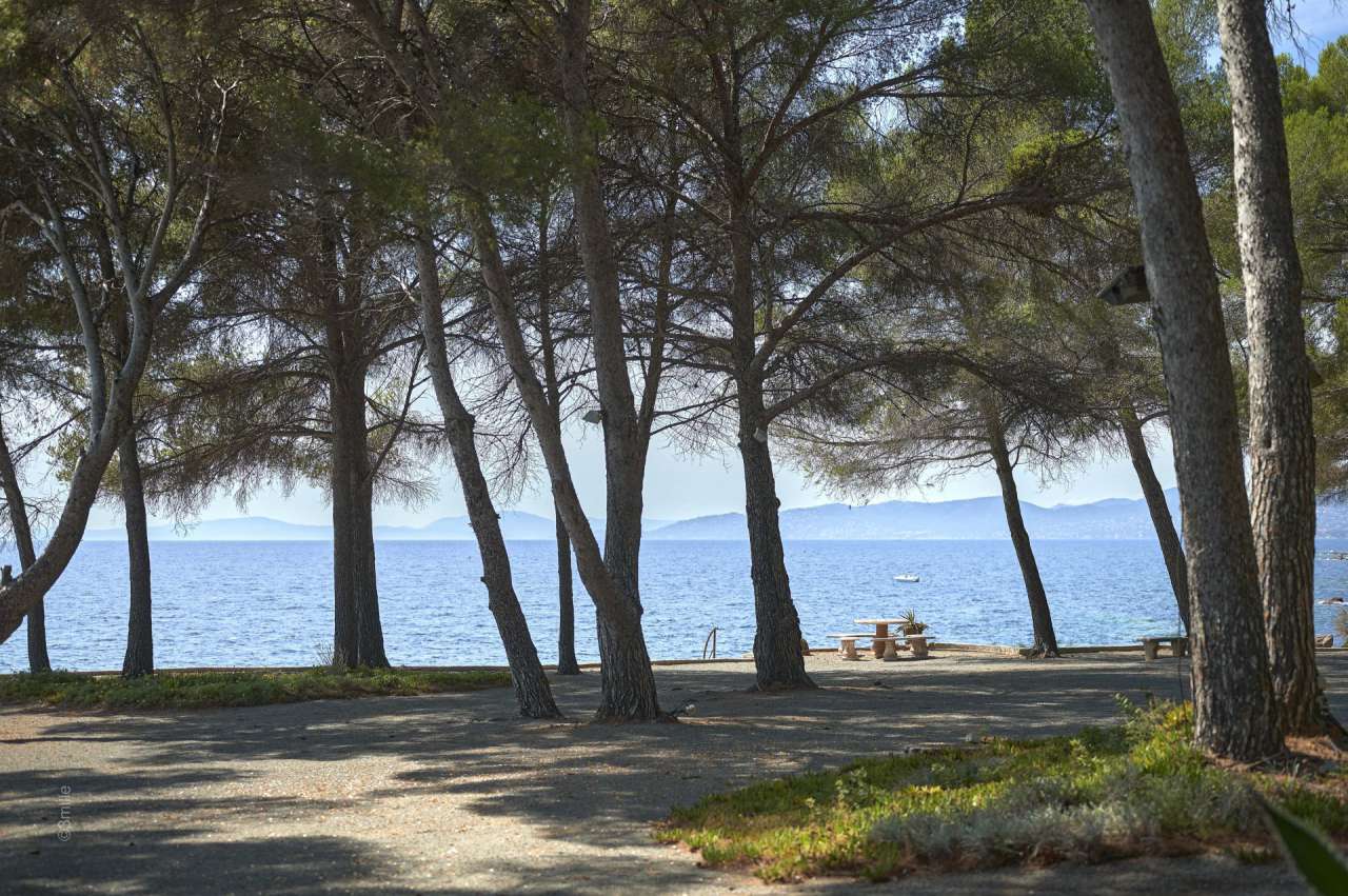 Superb and unique 9 bedroom south facing waterfront property, with a vast t