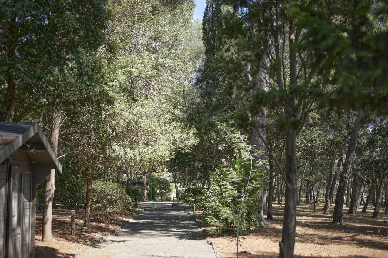 Superb and unique 9 bedroom south facing waterfront property, with a vast t