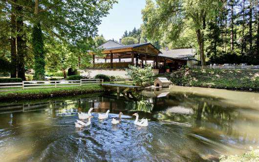 Unique opportunity to acquire a beautifully renovated 17th century, 4 bedro