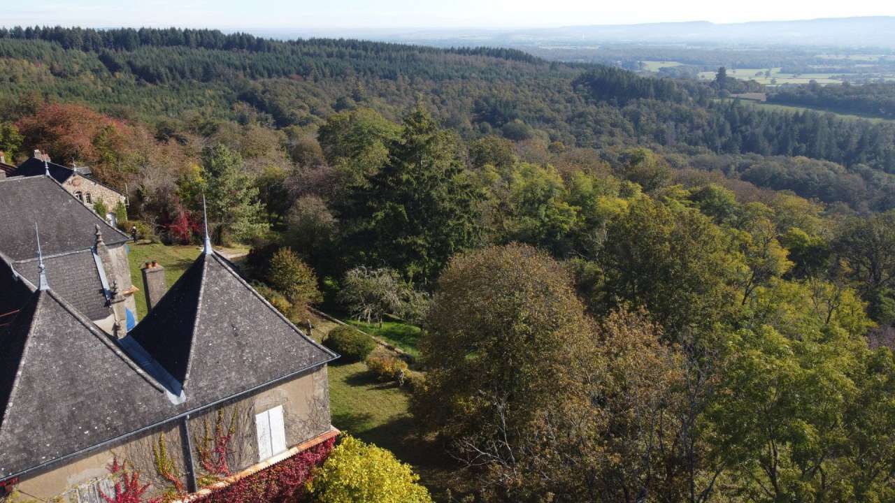 Charming character chateau in a beautiful and private wooded setting with o