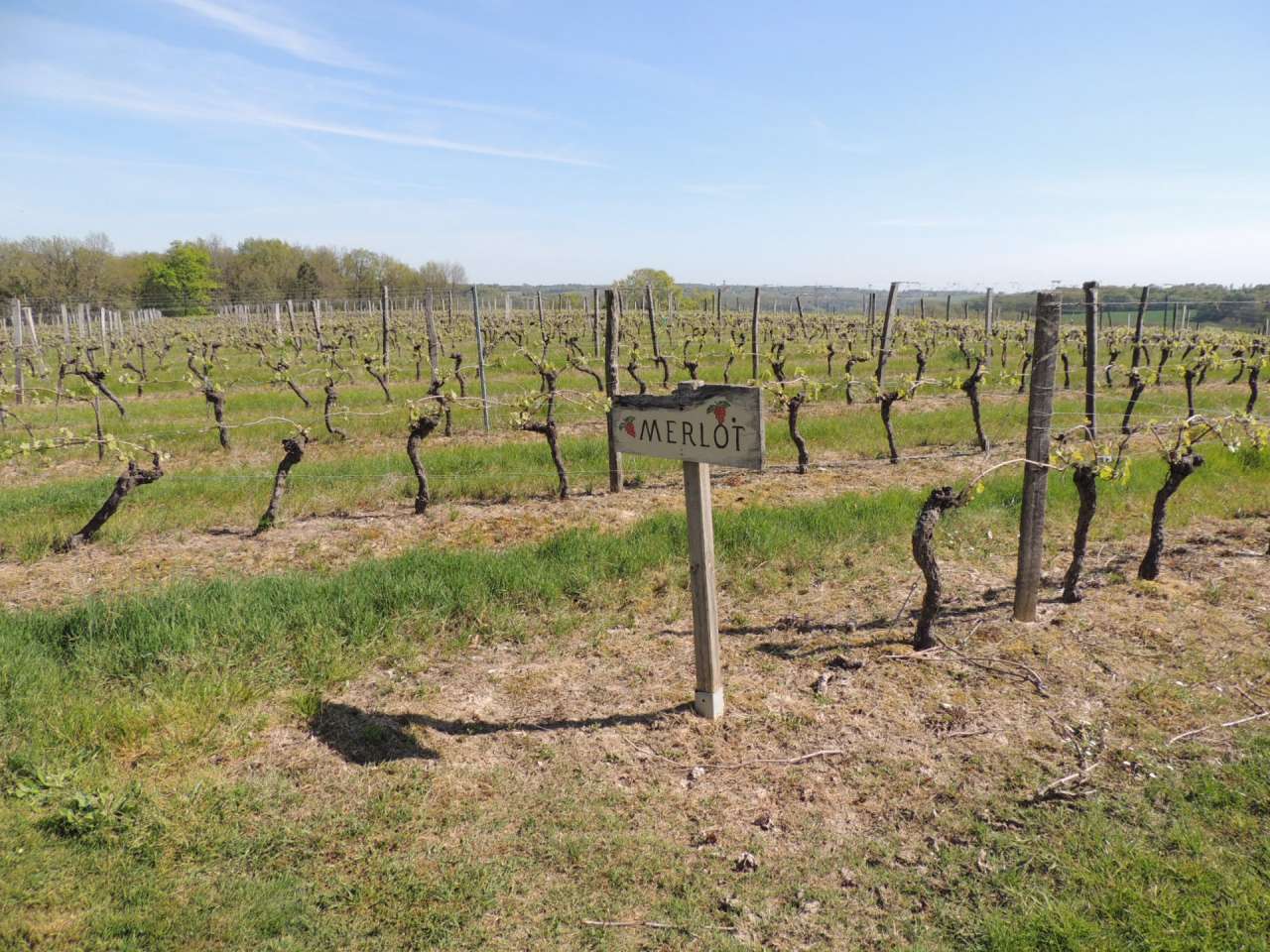 Wonderful opportunity to acquire a beautiful 3 bedroom house with separate