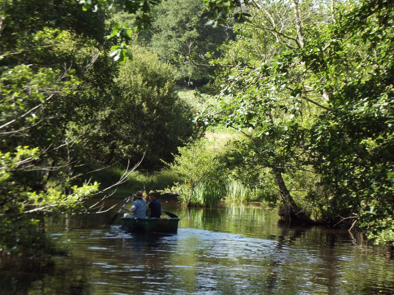 Delightful renovated rural property set in 15 acres with a river, pool, mai