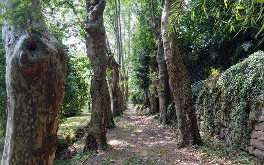 Full of character and charm and beautifully presented throughout, this magn