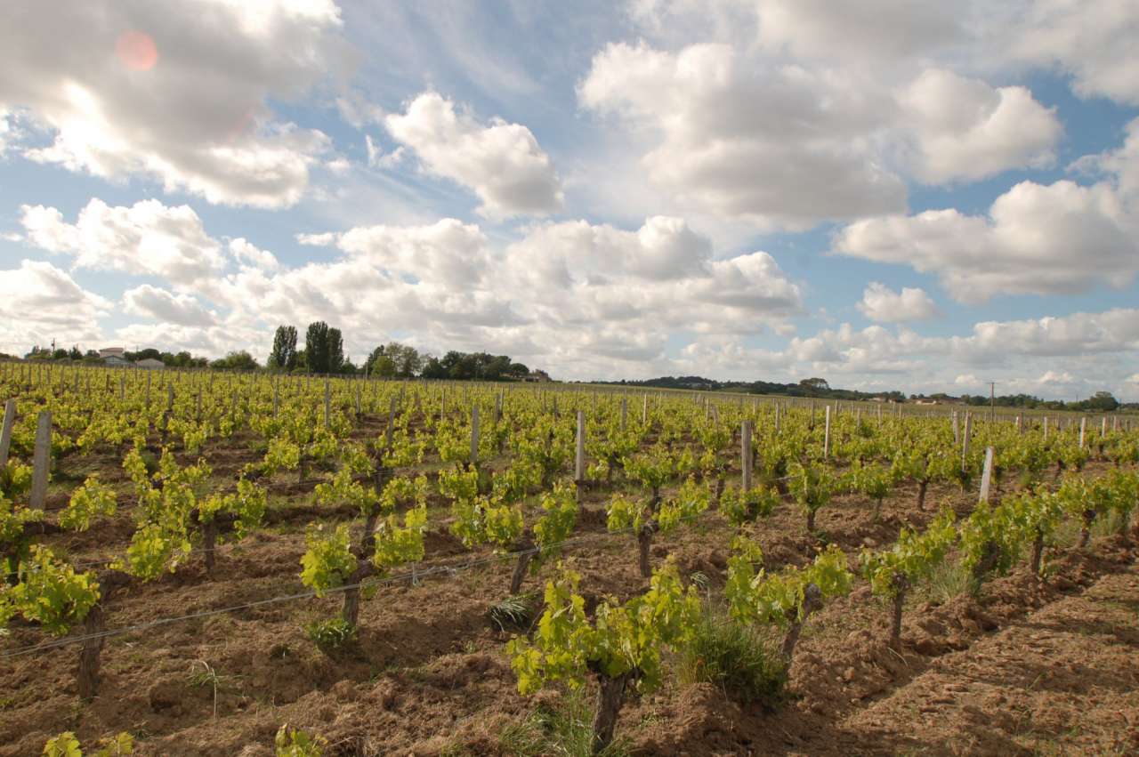 Unique opportunity to acquire a magnificent historic vineyard estate with a