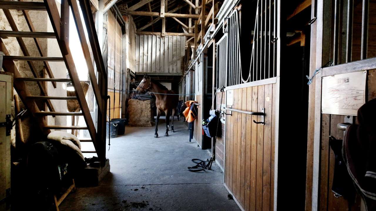 Wonderful opportunity to acquire a fabulous equestrian estate nestling in o