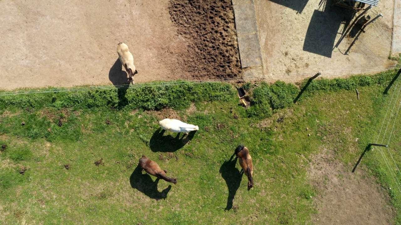 Wonderful opportunity to acquire a fabulous equestrian estate nestling in o