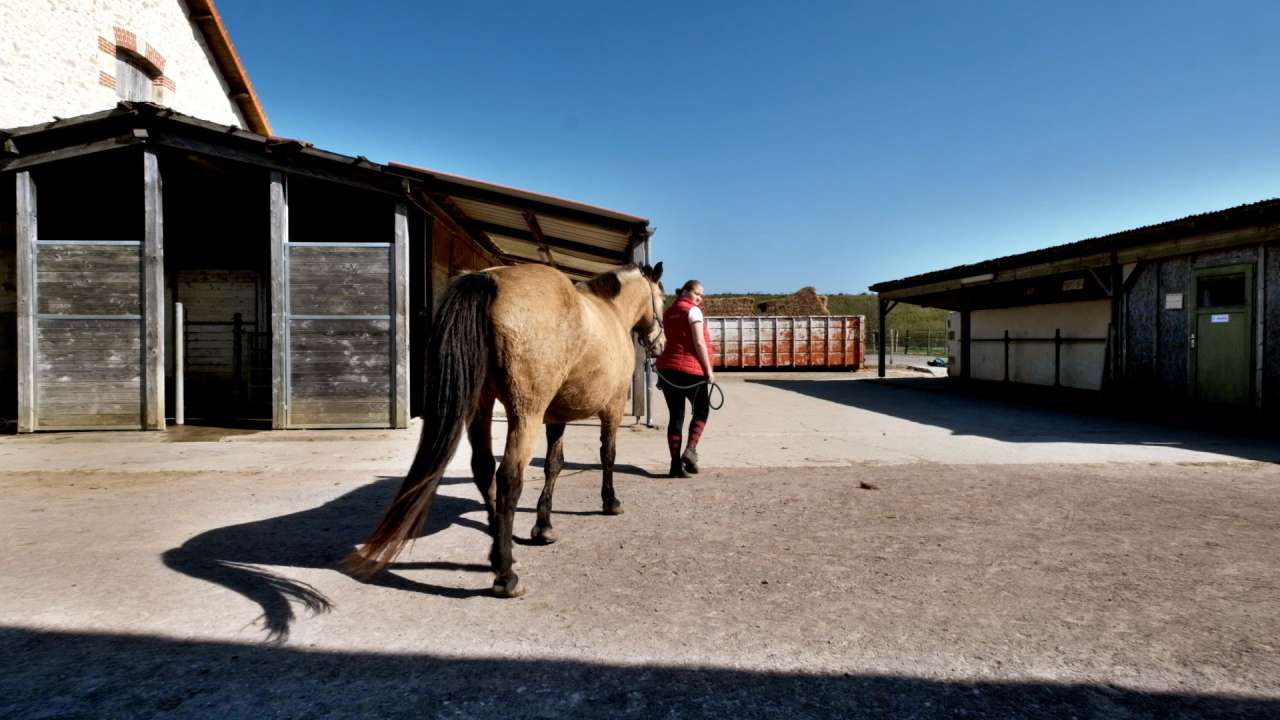 Wonderful opportunity to acquire a fabulous equestrian estate nestling in o